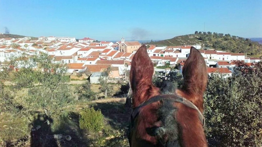 Malcocinado, un lugar para comer bien en el suroeste de Badajoz