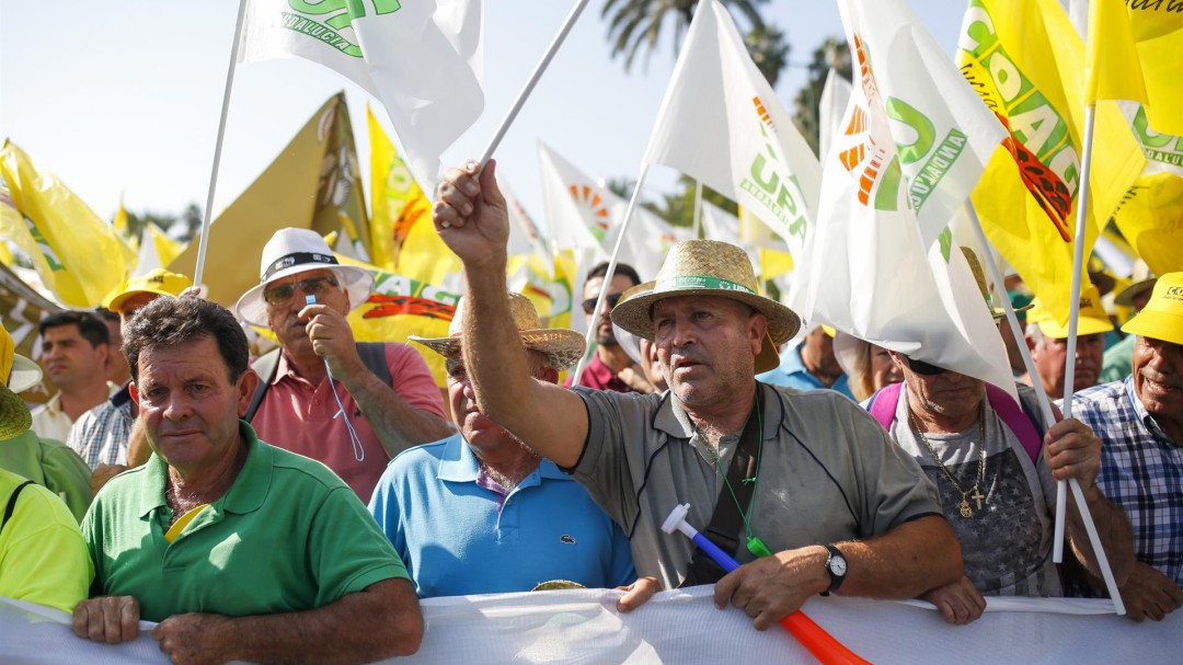 Los olivareros reclaman en Madrid mecanismos para paliar la "crisis tremenda" del sector