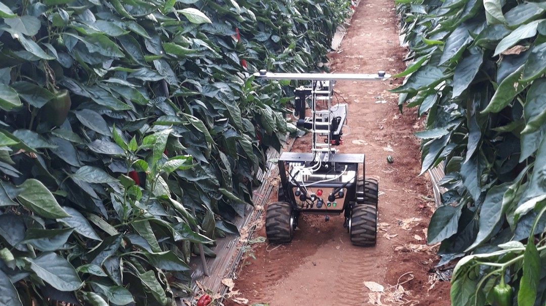 Els robots demanen pas en el camp