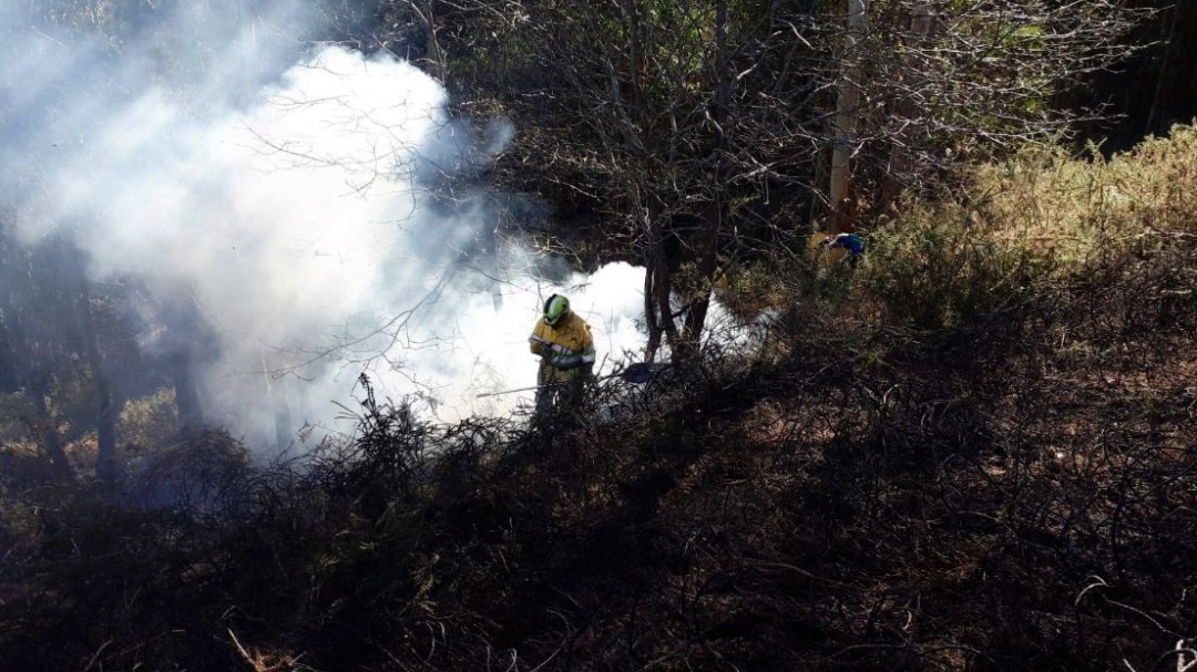 Investigan a un octogenario por el incendio de Valdecañada que arrasó 40 hectáreas