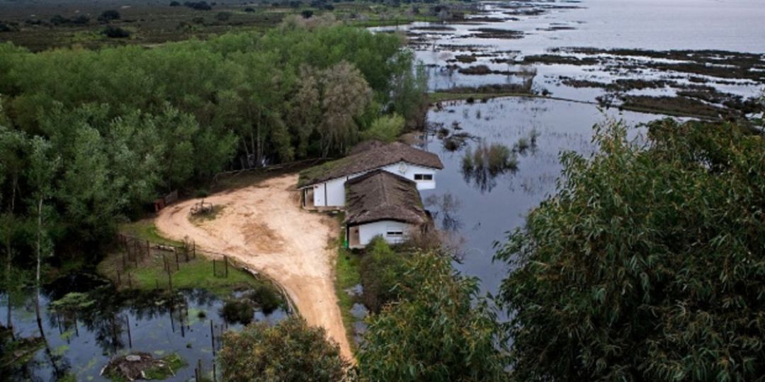 DOÑANA CUMPLE 50 AÑOS: El agua, el principal problema del Parque de Doñana en su 50 cumpleaños DOÑANA CUMPLE 50 AÑOS: El agua, el principal problema del Parque de Doñana en su 50 cumpleaños