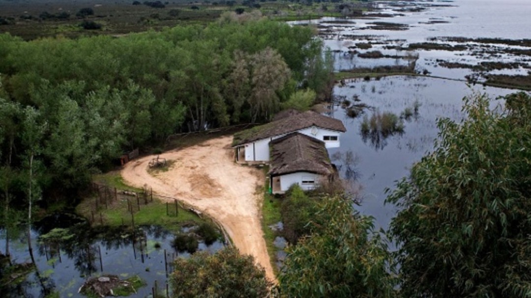 El agua, el principal problema del Parque de Doñana en su 50 cumpleaños
