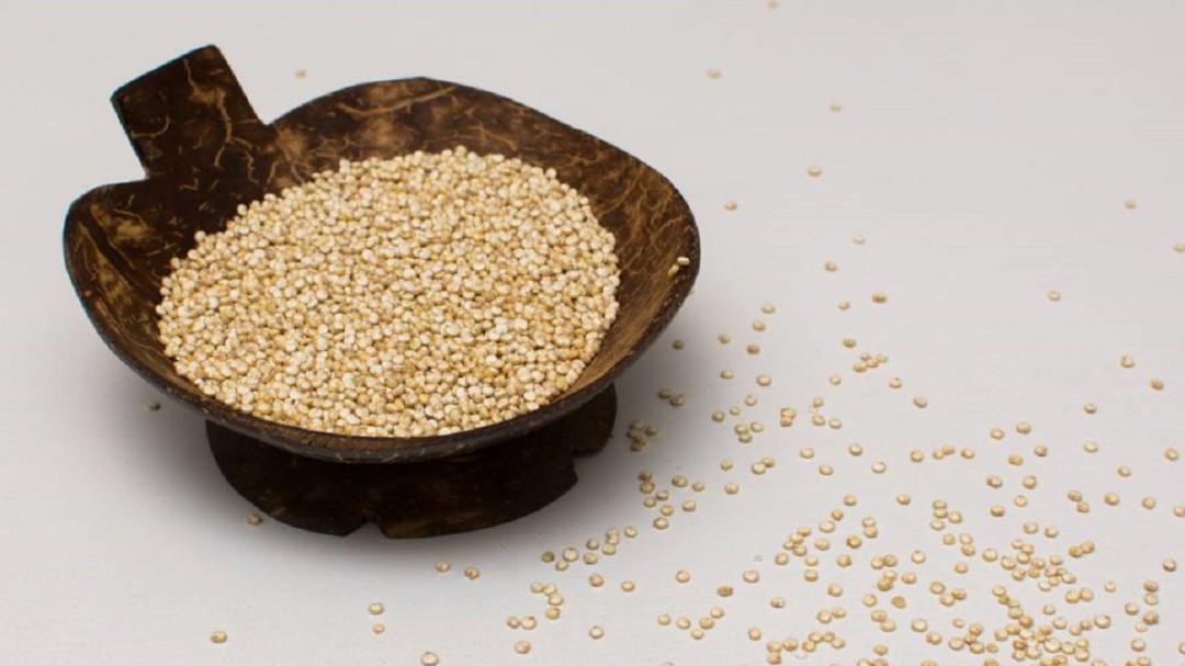 Quinoa, el superalimento cordobés