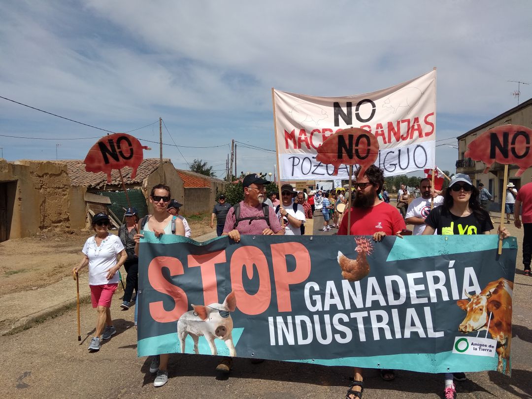 Manifestación contra las macrogranjas en la localidad de Cerecinos de Campos Manifestación contra las macrogranjas en la localidad de Cerecinos de Campos