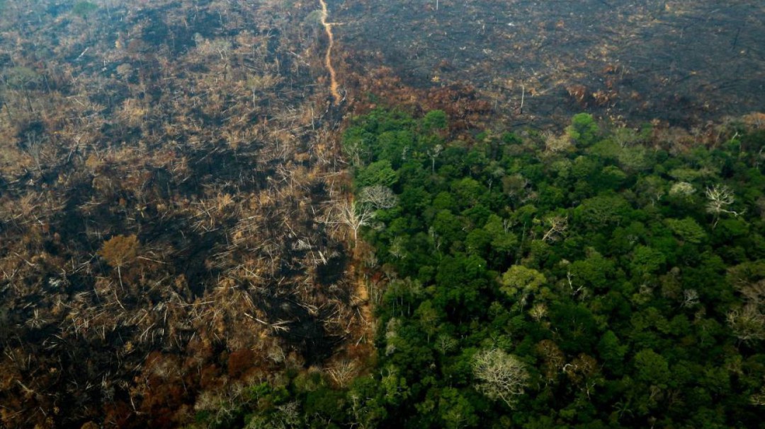 Los geógrafos piden mantener aranceles a los recursos del Amazonas