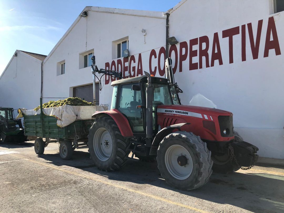 Bodega Soledad recoge más de 15 millones de kilos de uva en esta vendimia Bodega Soledad recoge más de 15 millones de kilos de uva en esta vendimia