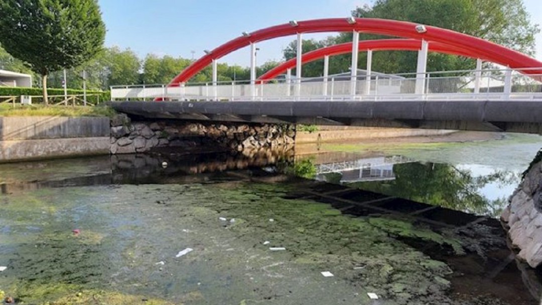 El diagnóstico del Piles estará listo a finales de 2019