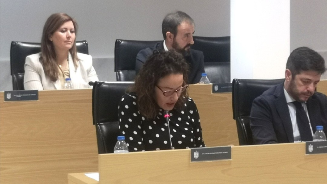 La oposición de Sanse califica de "ridículas y decepcionantes" las modificaciones de las ordenanzas fiscales