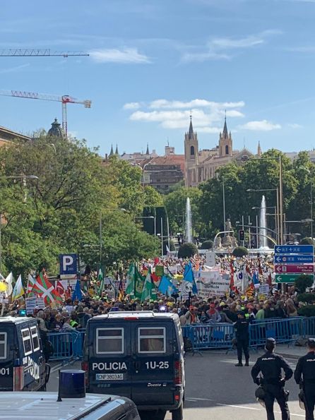 Miles de personas piden en el Congreso la revalorización de las pensiones Miles de personas piden en el Congreso la revalorización de las pensiones