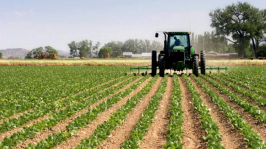 Hasta 90.000 explotaciones agrarias de C-LM comienzan a recibir el adelanto de la PAC