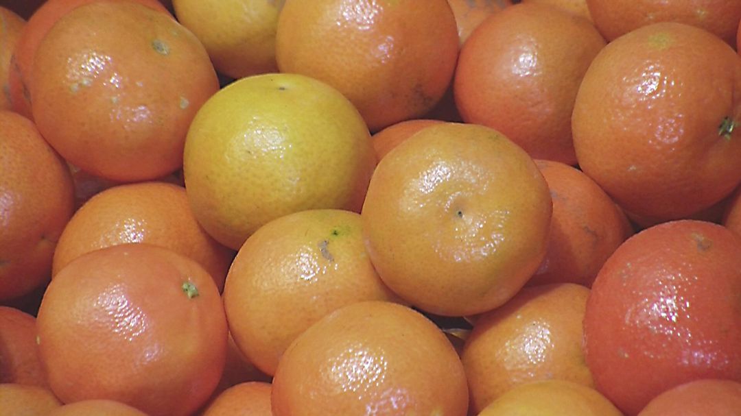 Clementinas Clementinas