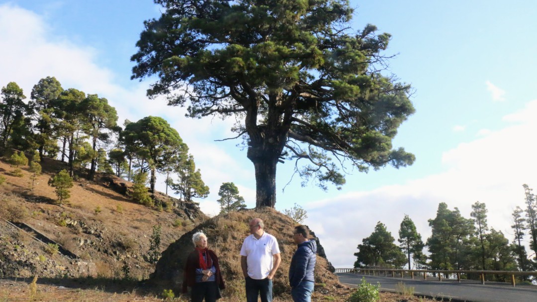Un monumento recordará a los represaliados de La Palma en Fuencaliente