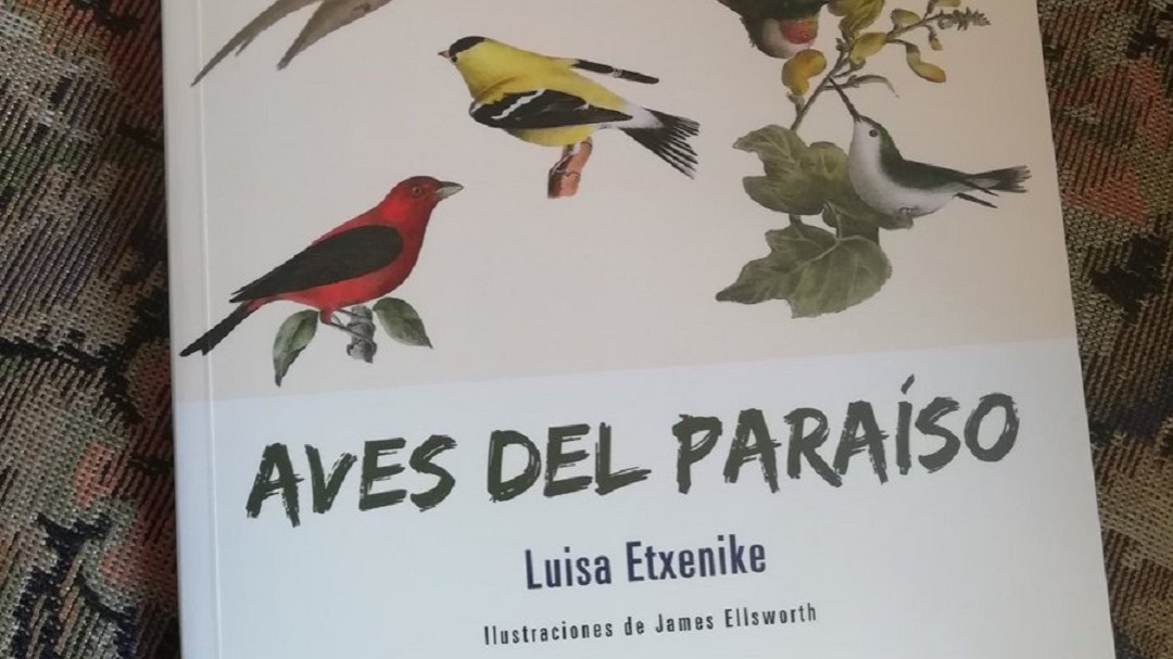 'Aves del paraíso' la última novela de Luisa Etxenike