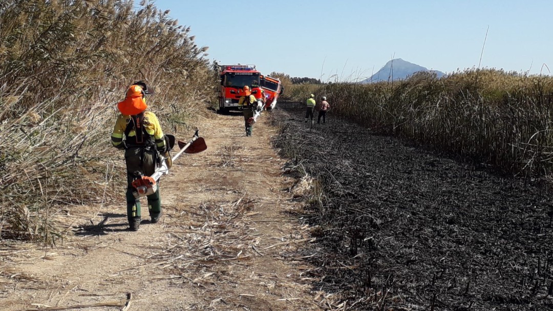 Un incendio arrasa una hectárea del marjal Oliva-Pego