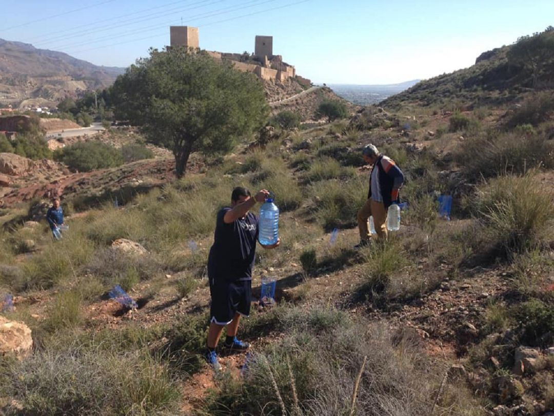Jornada de reforestación en el castillo de Lorca organizada por 'La Carrasca' Jornada de reforestación en el castillo de Lorca organizada por 'La Carrasca'