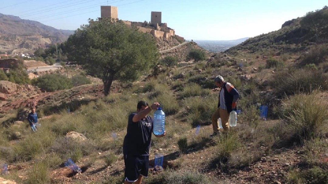 Jornada de reforestación en el castillo de Lorca organizada por 'La Carrasca'