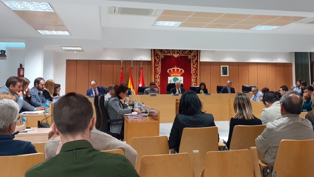 Los partidos de Sanse apoyan por unanimidad las reivindicaciones de la Sanidad Pública y la Marea de las Pensiones