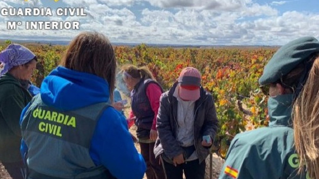 La Guardia Civil detecta explotación laboral a inmigrantes en la vendimia