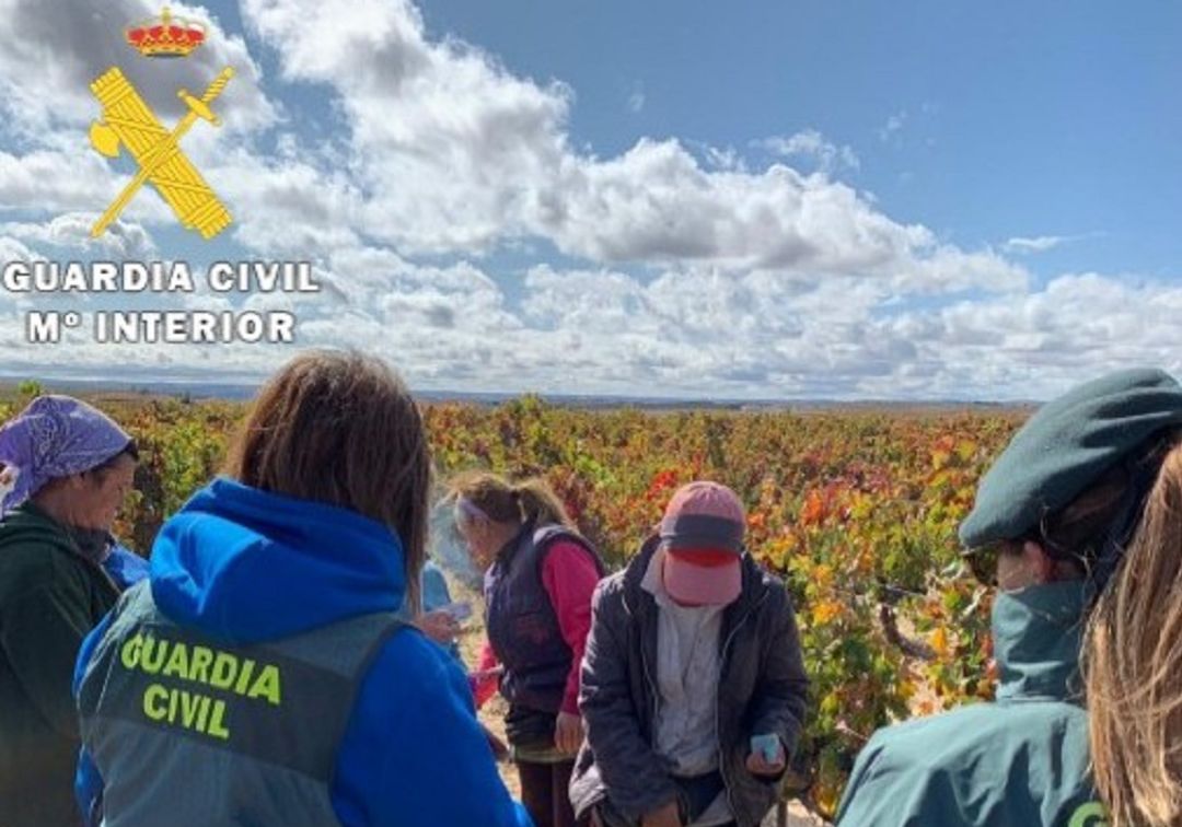 La Guardia Civil detecta explotación laboral a inmigrantes en la vendimia