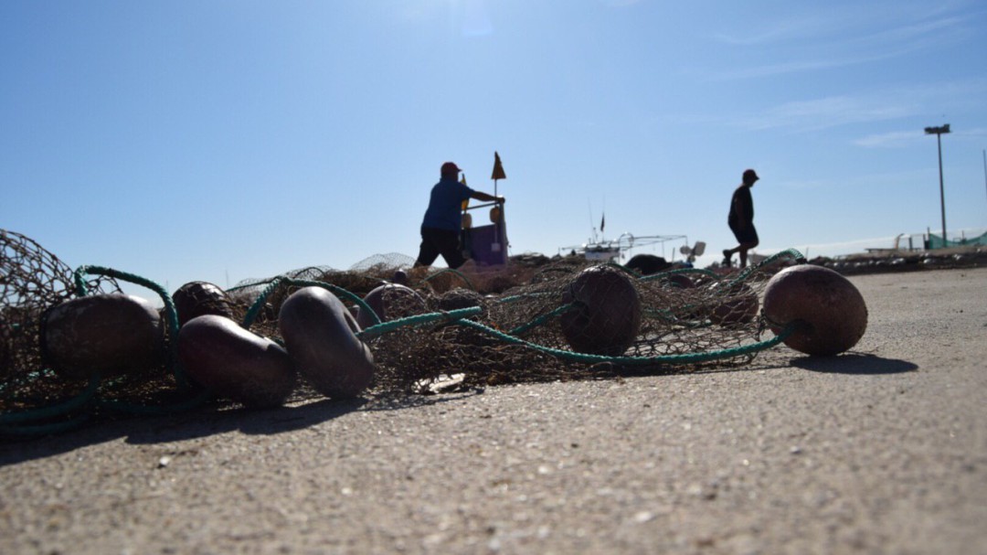 Pescadores y agricultores contienen la respiración por la situación del Mar Menor