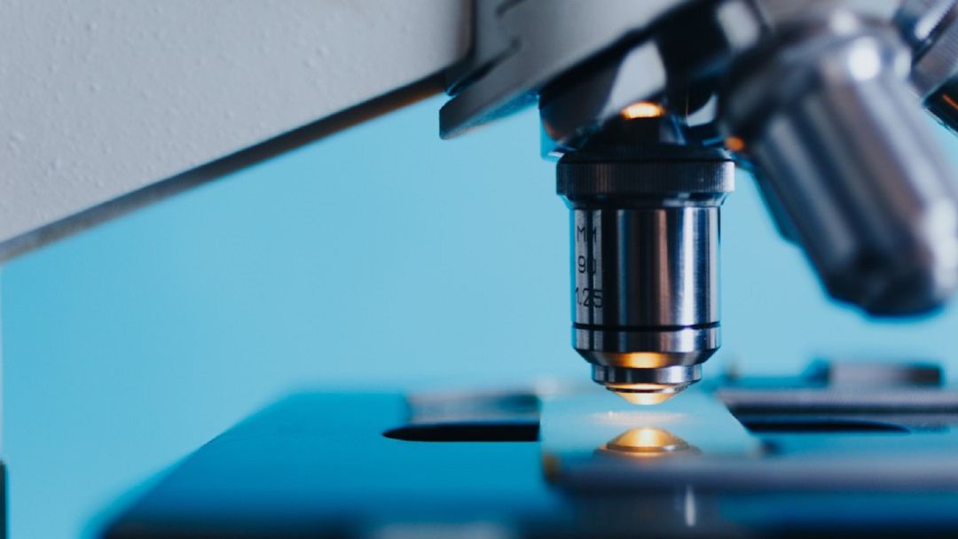 La clave para la cura de las enfermedades más importantes del siglo XXI está en los genes La clave para la cura de las enfermedades más importantes del siglo XXI está en los genes