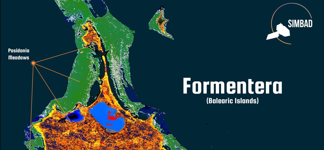 Monitorización de posidonia en la isla de Formentera Monitorización de posidonia en la isla de Formentera