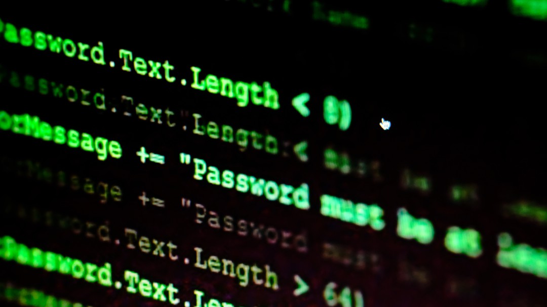 "Hay tecnología diseñada para vigilar y castigar a los más pobres"