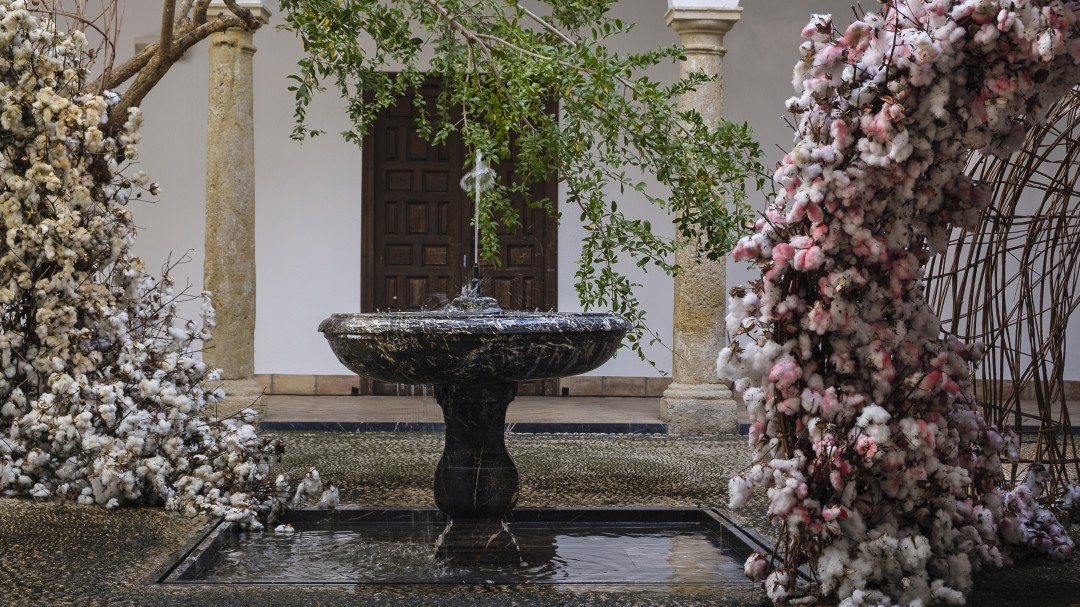 "Trepidante" de Flor Motion gana Flora 2019