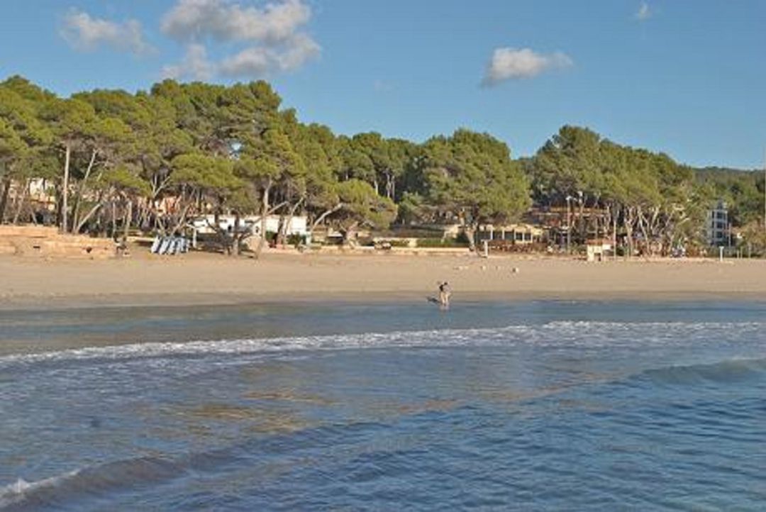 Fallece en el agua un hombre de 45 años de nacionalidad inglesa durante una prueba de Triatlón Fallece en el agua un hombre de 45 años de nacionalidad inglesa durante una prueba de Triatlón