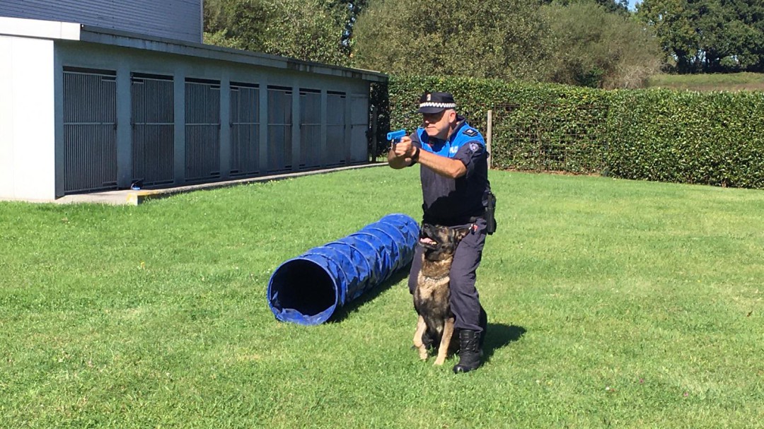 La policía canina de Gijón recibe esta semana el premio de Unión de Jefes y Directivos de la Policía Local