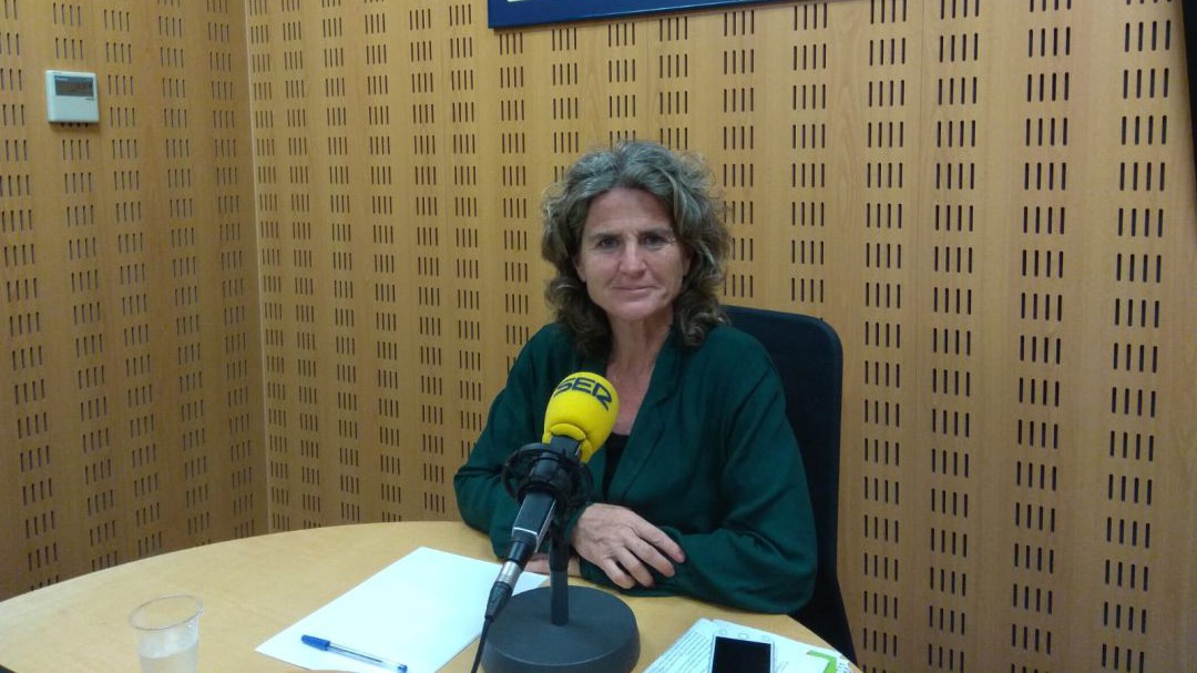 Carrere: "Me parece un cachondeo que el Gobierno oculte el cierre de la Calle San Martín"