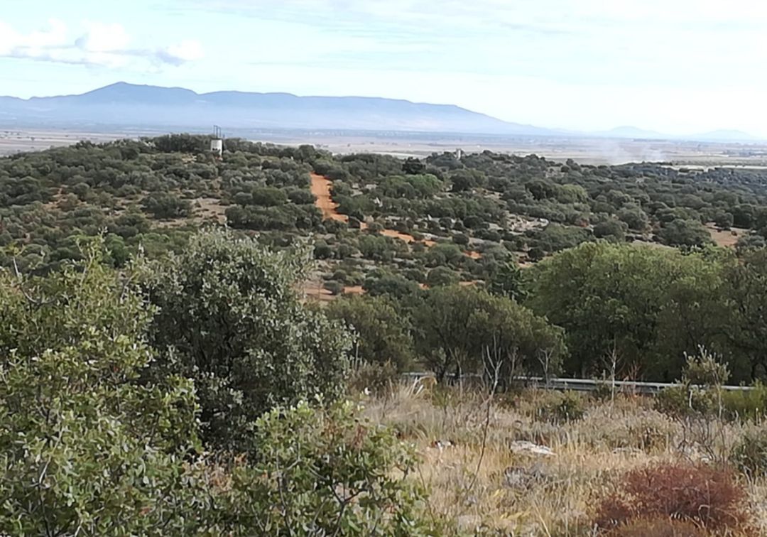 Zamora destaca la 'buena gestión' de la compra de los terrenos en el Parque Forestal de la Atalaya