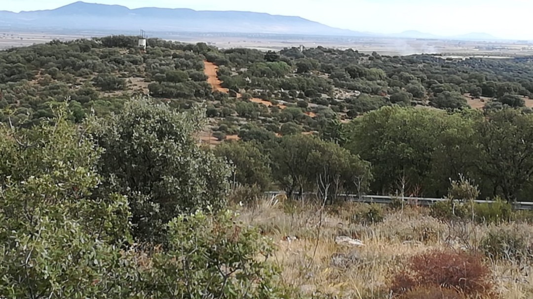 Zamora destaca la 'buena gestión' de la compra de los terrenos en la Atalaya
