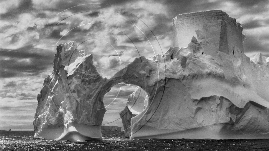 Sebastião Salgado rinde homenaje a la belleza de la tierra a través de la exposoción fotográfica "Génesis"