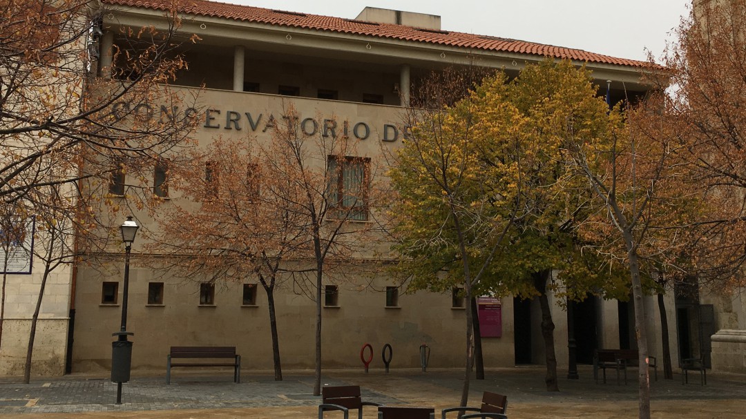 Ningún conservatorio de Castilla y León ofrece estudios de instrumentos de púa