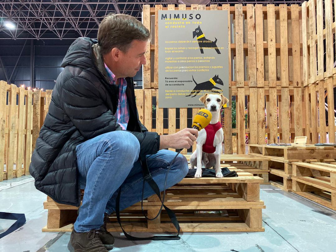 Pipper 'conversa' con nuestro compañero Juan Carlos González Pipper 'conversa' con nuestro compañero Juan Carlos González