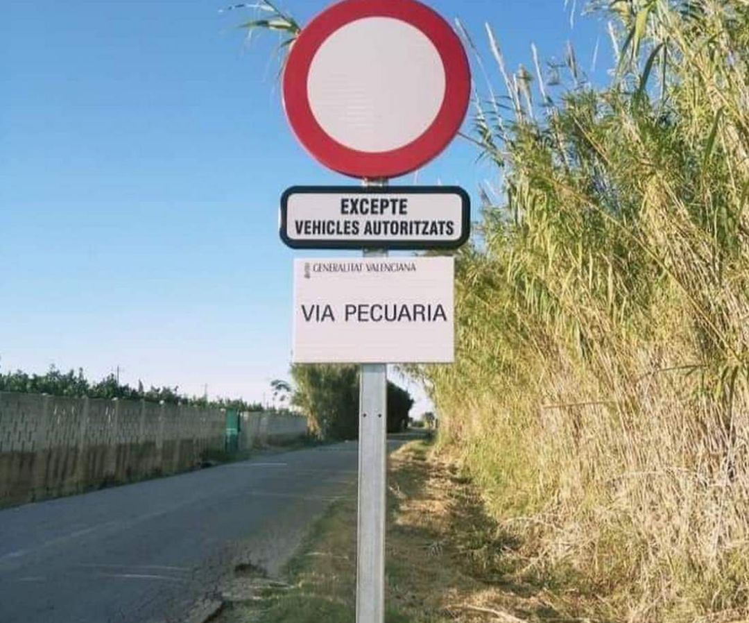 Nueva señal en el Camí Real entre Xeraco y Tavernes. Nueva señal en el Camí Real entre Xeraco y Tavernes.