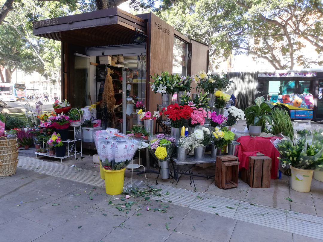 Muchas flores y poco espacio Muchas flores y poco espacio