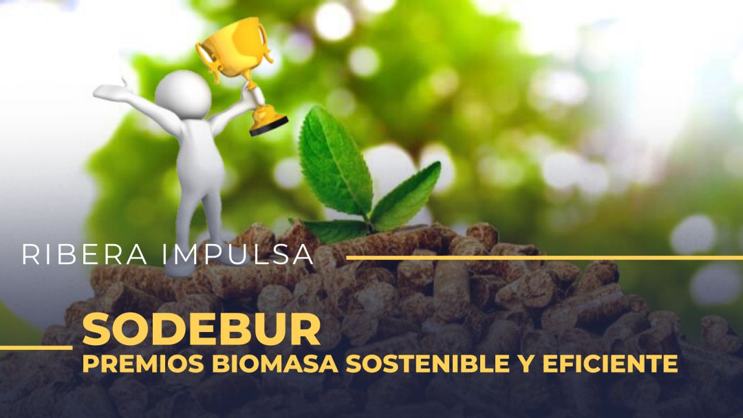 Imagen de premios de biomasa sostenible Imagen de premios de biomasa sostenible