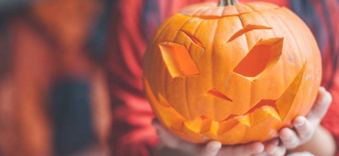 La fiesta de Halloween se celebra en la noche del 31 de octubre. La fiesta de Halloween se celebra en la noche del 31 de octubre.