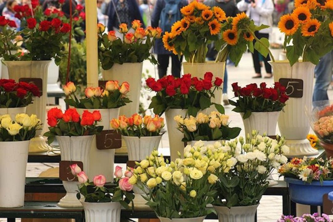 Flores Flores
