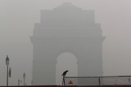 Un cuervo frente a la Puerta de la India, en Nueva Delhi. Un cuervo frente a la Puerta de la India, en Nueva Delhi.