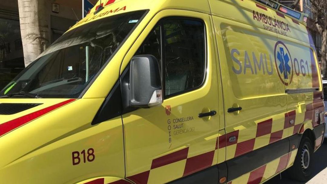 Fallece una mujer de 41 años en Palma tras recibir el impacto de una palmera Fallece una mujer de 41 años en Palma tras recibir el impacto de una palmera