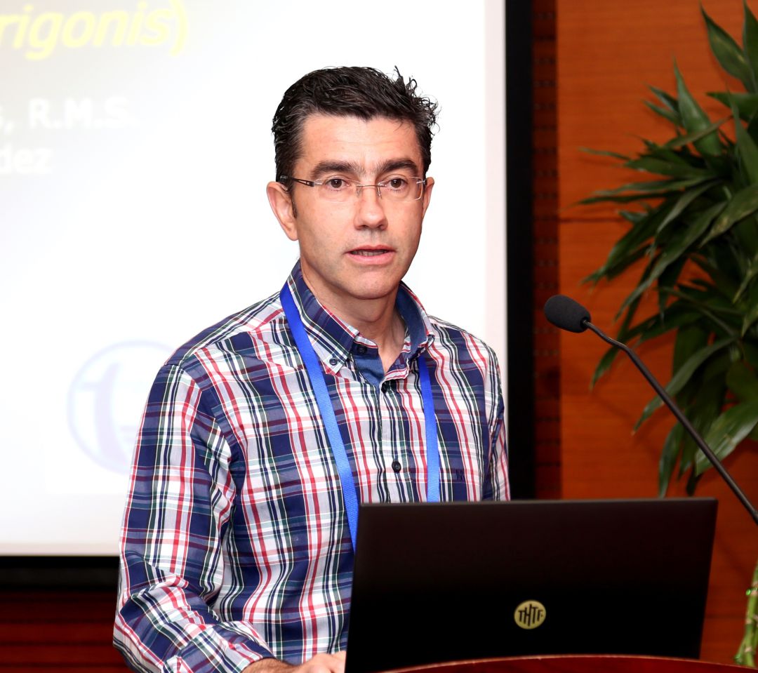 Francisco Martínez Capel Francisco Martínez Capel