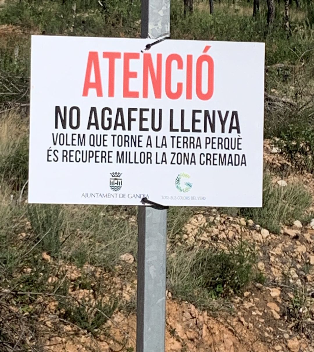 Cartel para que no se recoja la leña en Marxuquera. Cartel para que no se recoja la leña en Marxuquera.