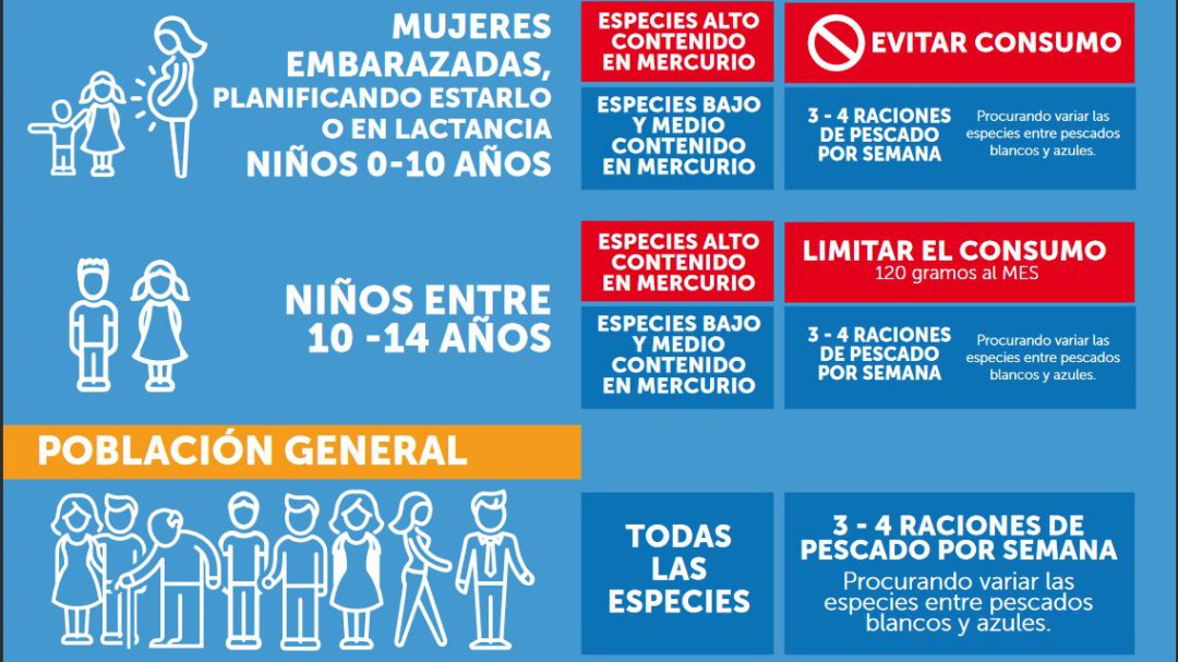 Los pescados que no deben comer niños ni embarazadas