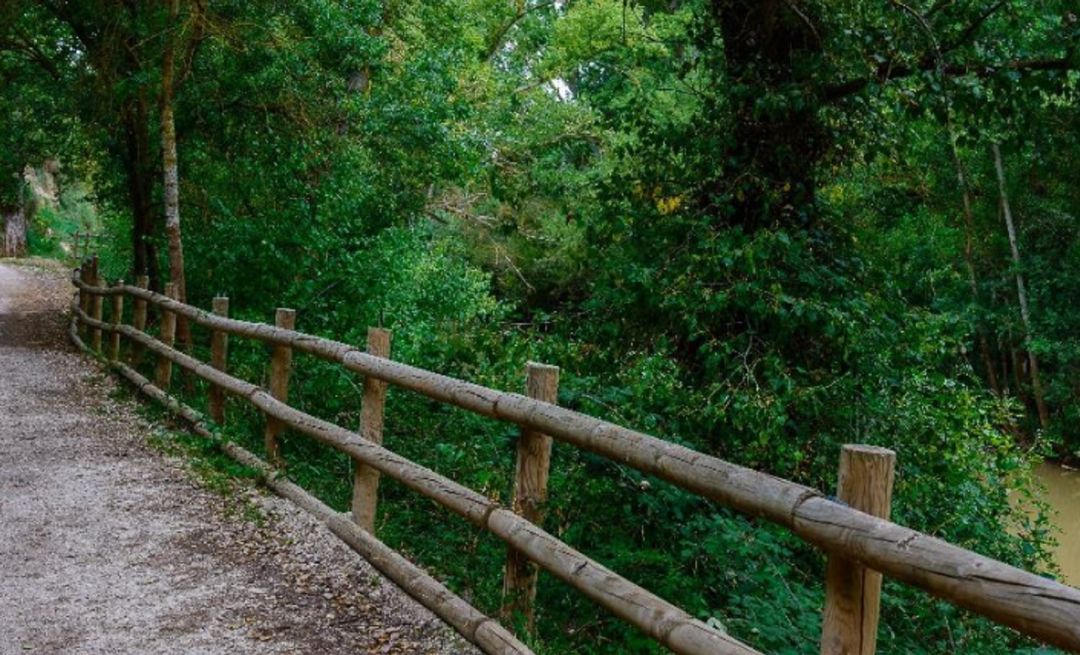 El GR14 protagonizará el sendero de las eco-rutas del Día Europeo del Enoturismo en Aranda El GR14 protagonizará el sendero de las eco-rutas del Día Europeo del Enoturismo en Aranda