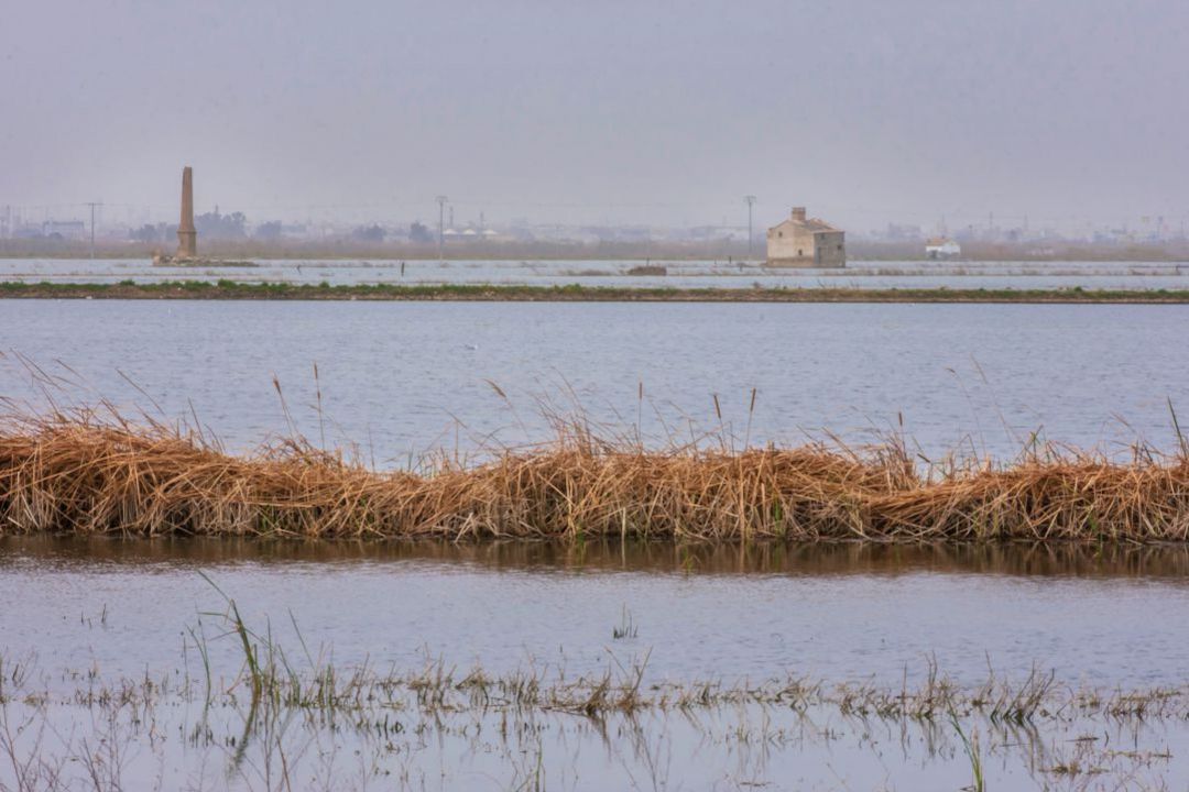 Lago de la Albufera de València Lago de la Albufera de València