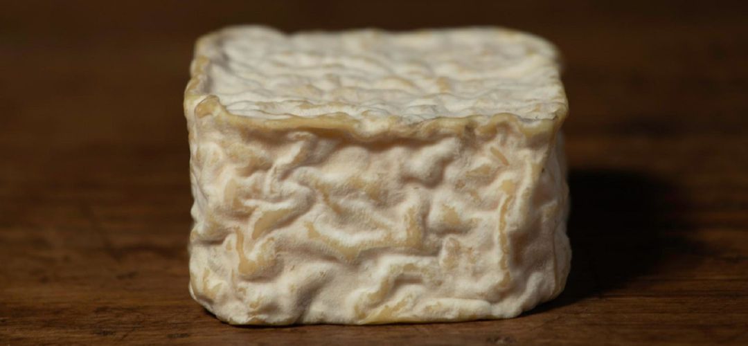 El queso Tiza está elaborado a base de leche de oveja El queso Tiza está elaborado a base de leche de oveja