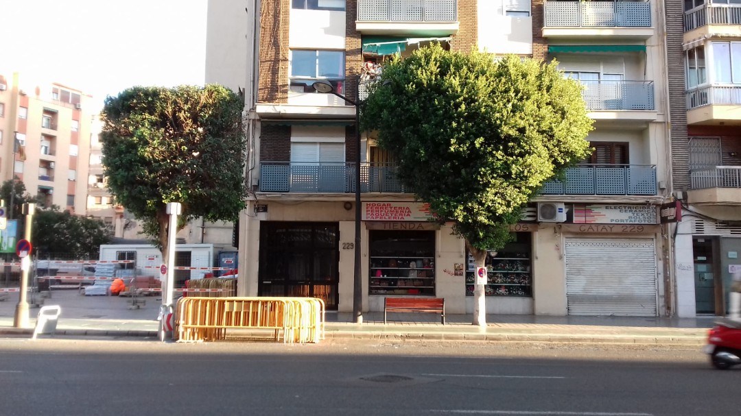 Empieza la poda de los árboles de la Avenida del Puerto de València